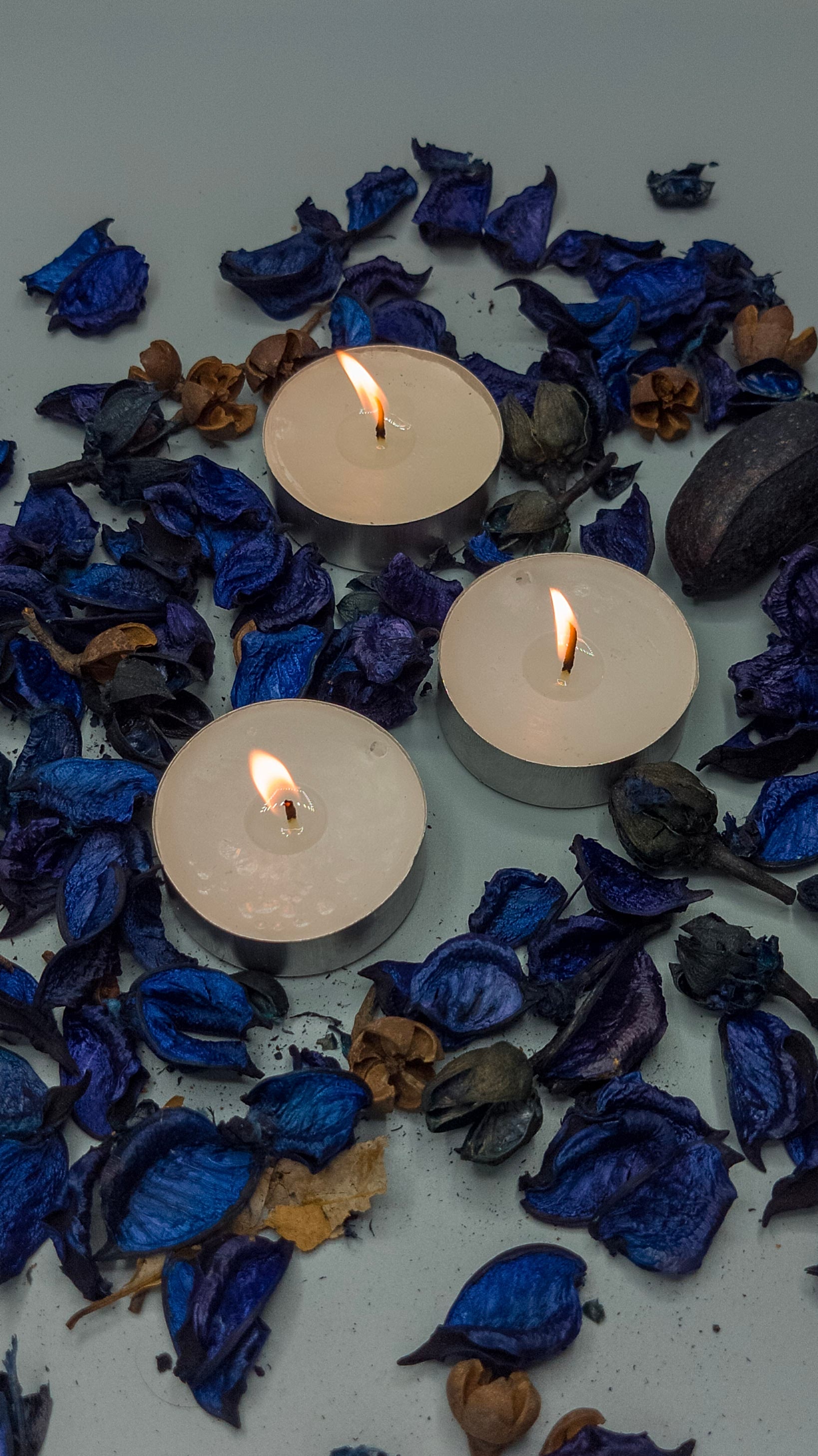 Maxi Tealight 50 Adet